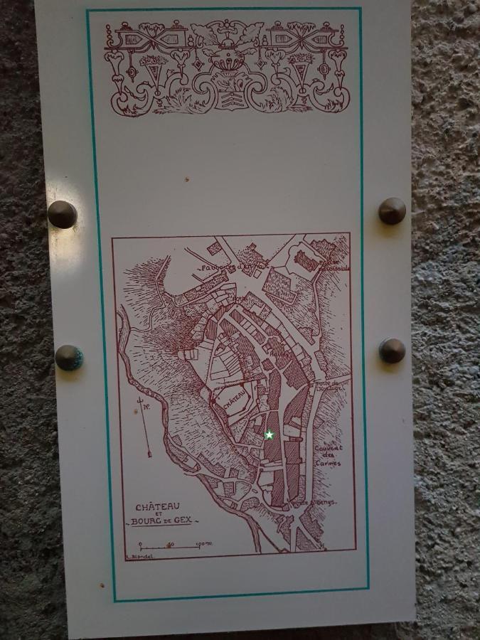 Hebergeneve : Aux Pieds Du Chateau Жекс Екстер'єр фото